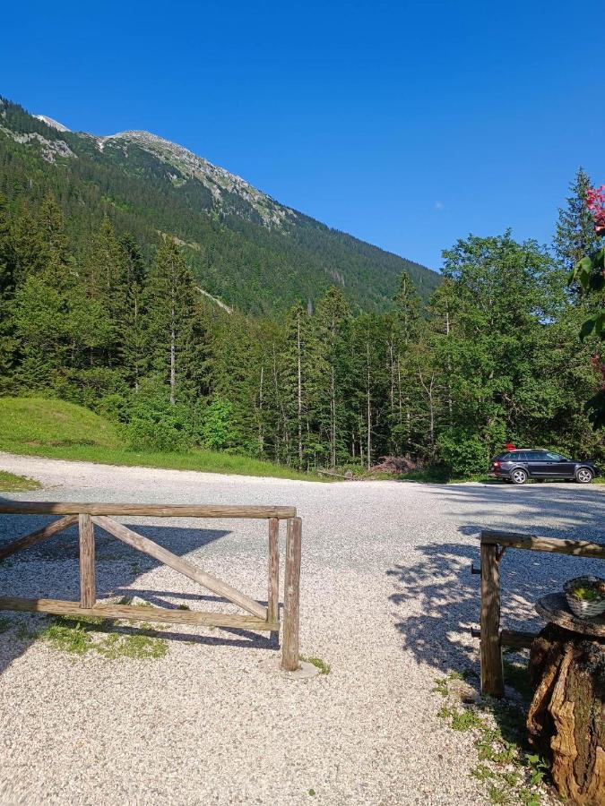 Auberge de jeunesse Valvasorjev Dom Pod Stolom à Zirovnica Extérieur photo