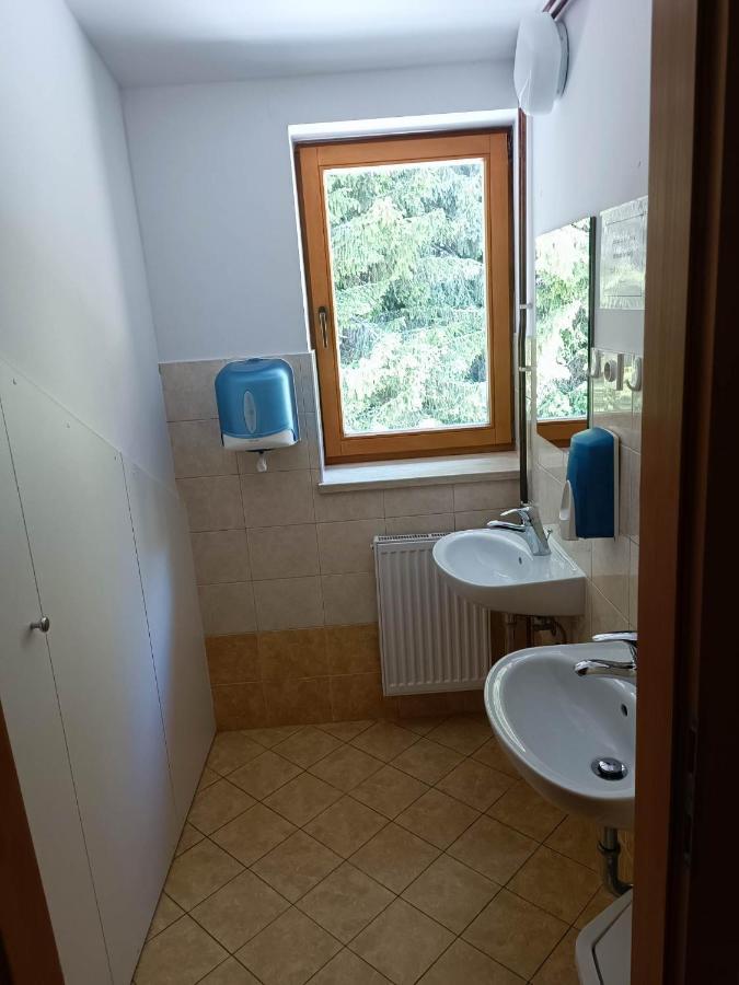 Auberge de jeunesse Valvasorjev Dom Pod Stolom à Zirovnica Extérieur photo