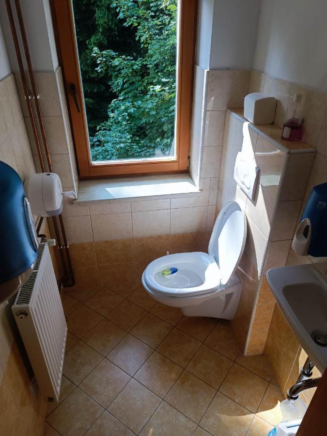 Auberge de jeunesse Valvasorjev Dom Pod Stolom à Zirovnica Extérieur photo